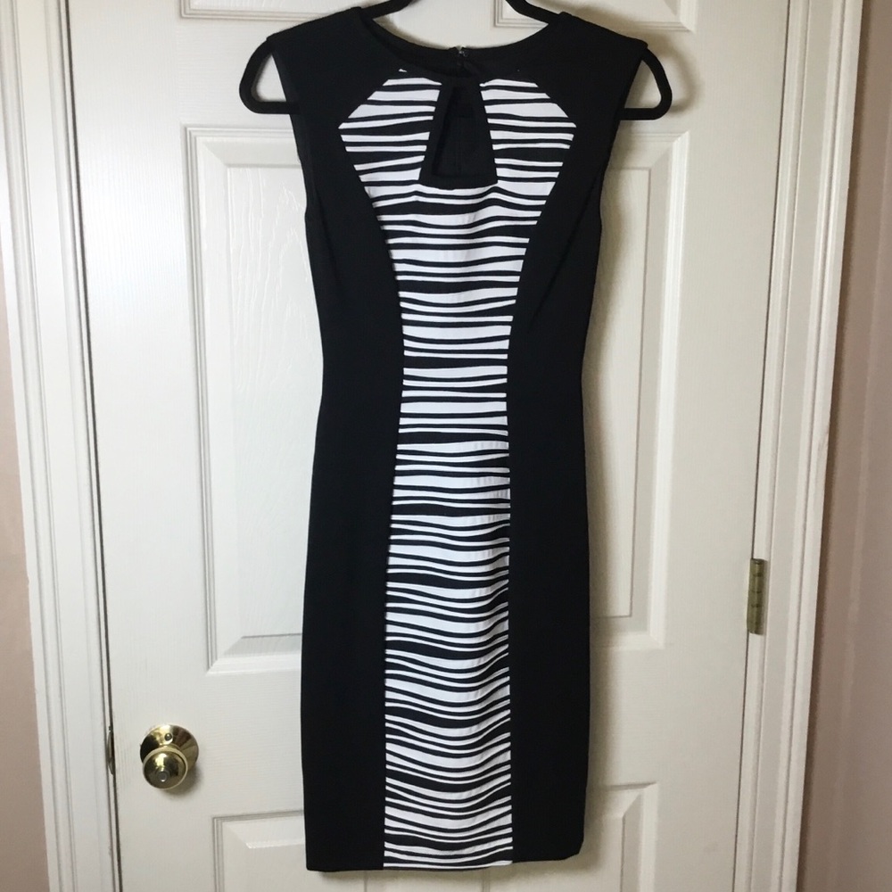 Cache Elegant Black and White Striped Sleeveless Sheath Dress - Size 0